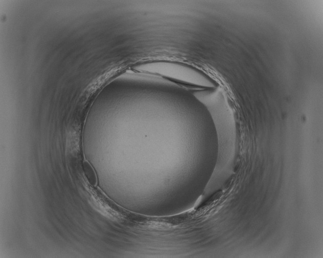 X0000083040393200702161712