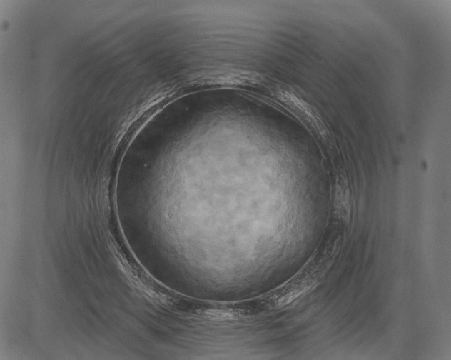 X0000083040394200702161712