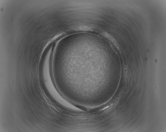 X0000083040395200702161712