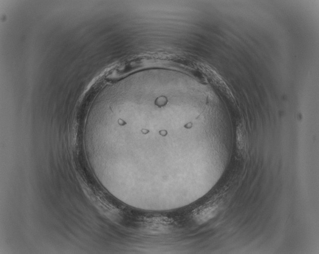 X0000083040396200702161712