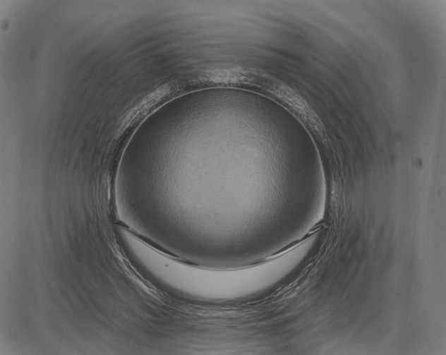 X0000083040397200702161712