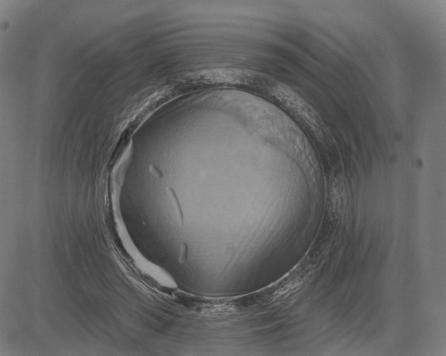 X0000083040398200702161711