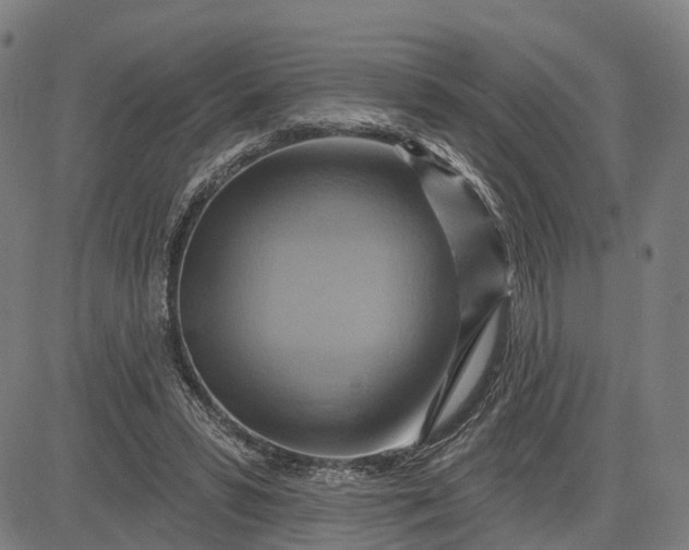 X0000083040399200702161711