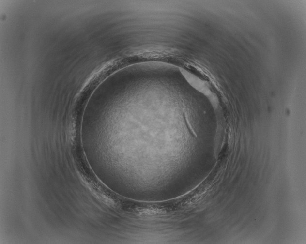 X0000083040400200702161711