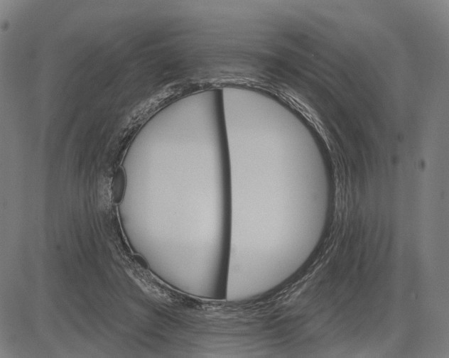 X0000083040401200702161711