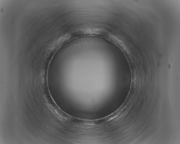 X0000083040402200702161711