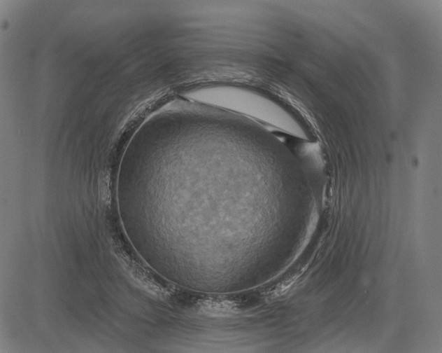 X0000083040403200702161711