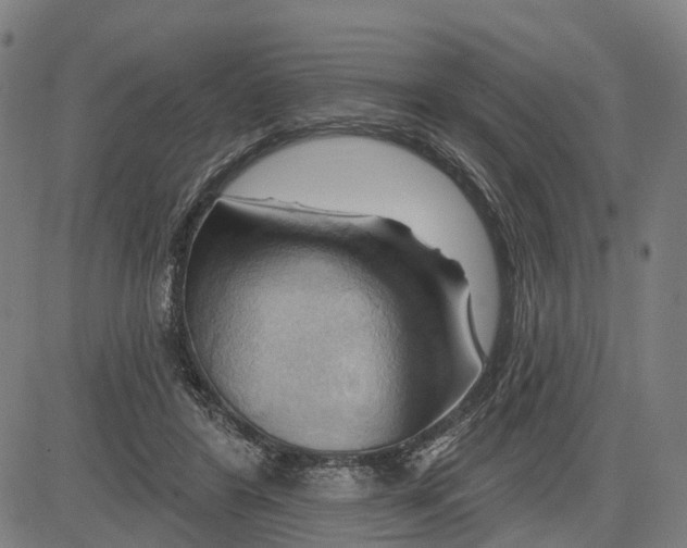 X0000083040404200702161711