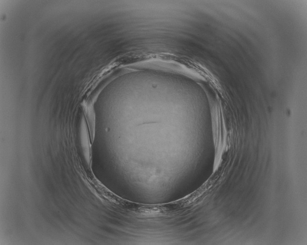 X0000083040405200702161711