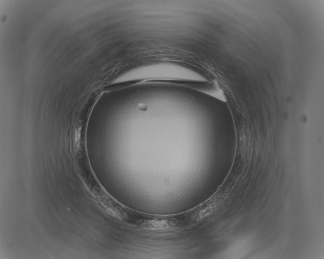 X0000083040406200702161711