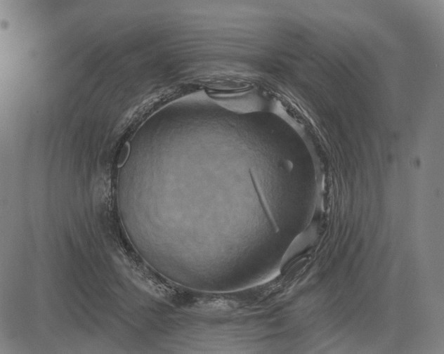 X0000083040407200702161711