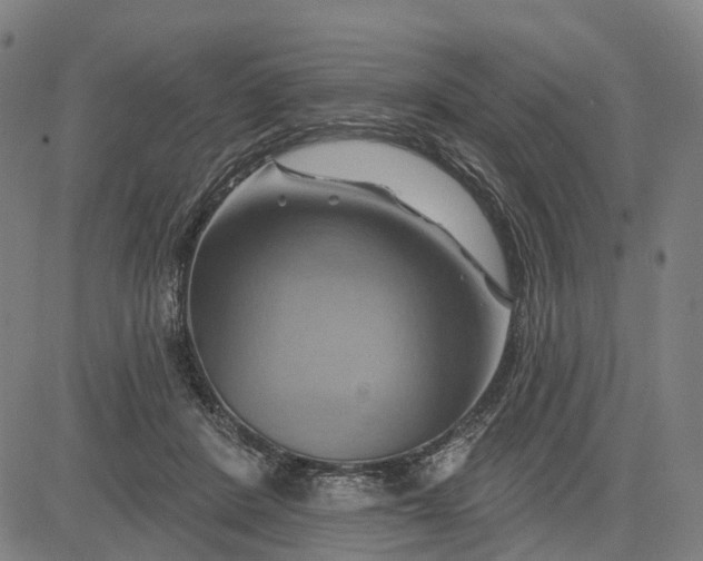 X0000083040408200702161711