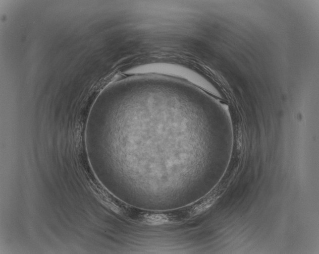 X0000083040409200702161711