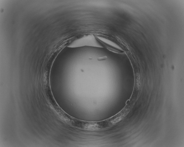 X0000083040410200702161711