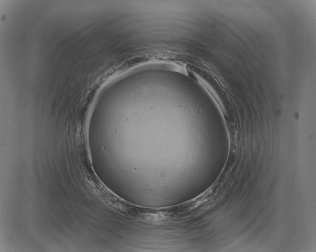 X0000083040411200702161711