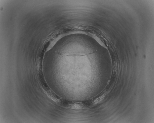 X0000083040412200702161711