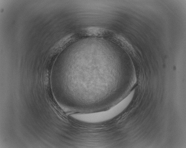 X0000083040413200702161711