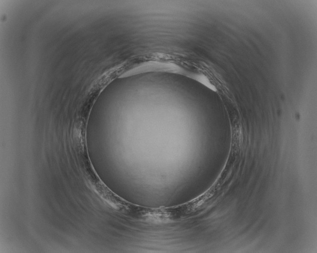 X0000083040415200702161711