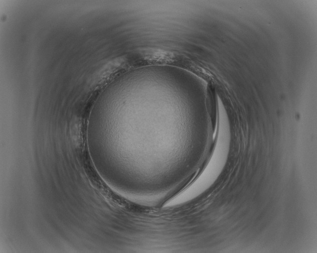 X0000083040416200702161711