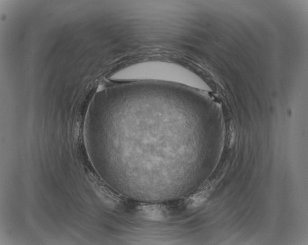 X0000083040417200702161711