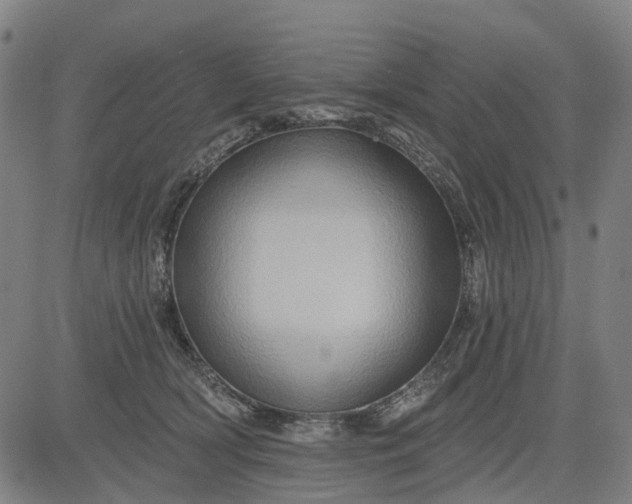 X0000083040418200702161711