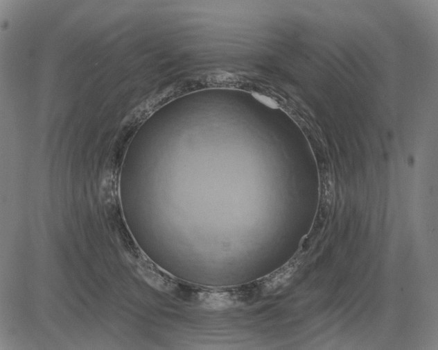 X0000083040419200702161711