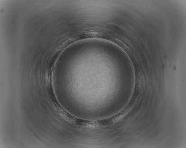 X0000083040420200702161711