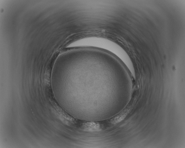 X0000083040421200702161711