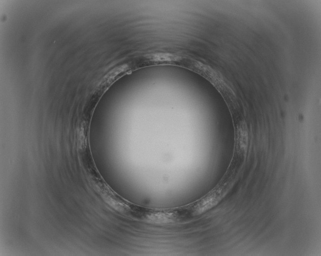 X0000083040422200702161711