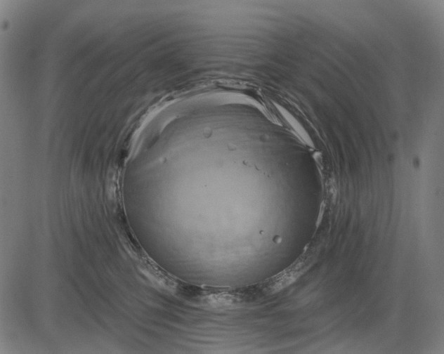 X0000083040423200702161711