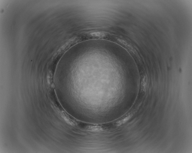 X0000083040424200702161711