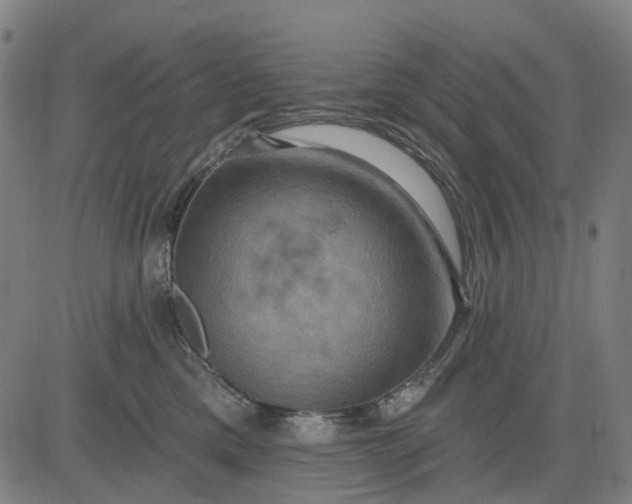 X0000083040425200702161711