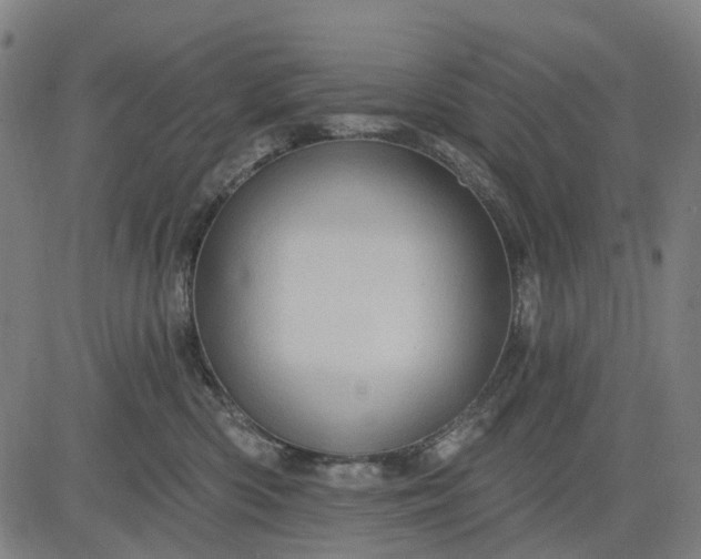 X0000083040426200702161711