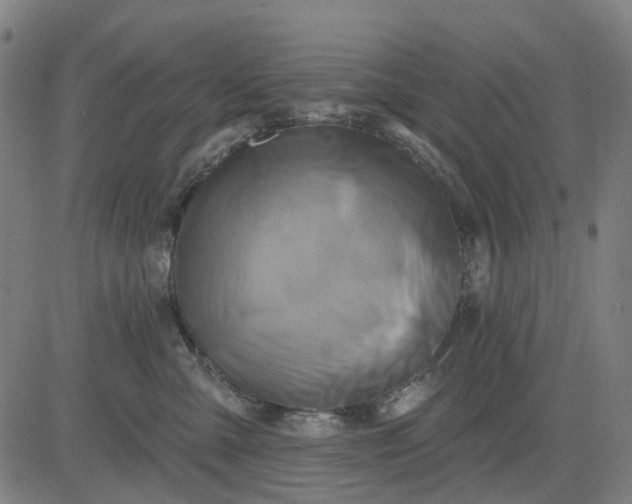 X0000083040427200702161711