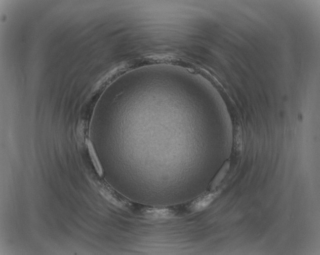 X0000083040428200702161711