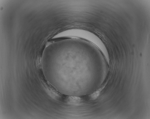 X0000083040429200702161711