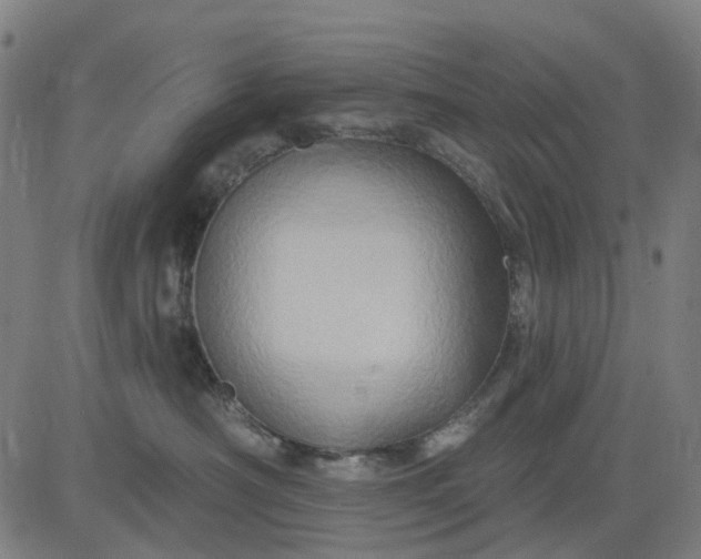 X0000083040430200702161711