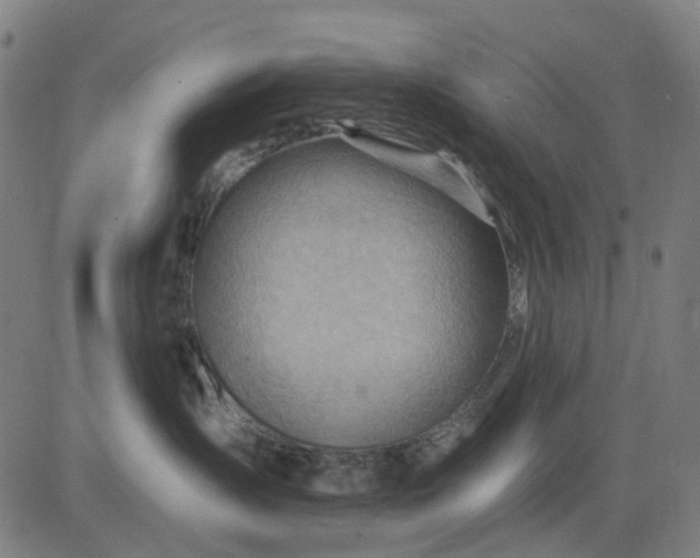 X0000083040431200702161711