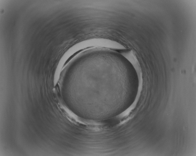 X0000083040432200702161711