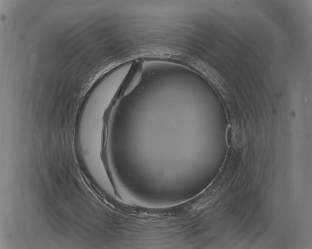 X0000083040434200702161710