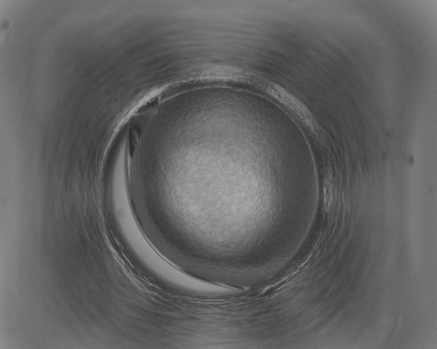 X0000083040436200702161710