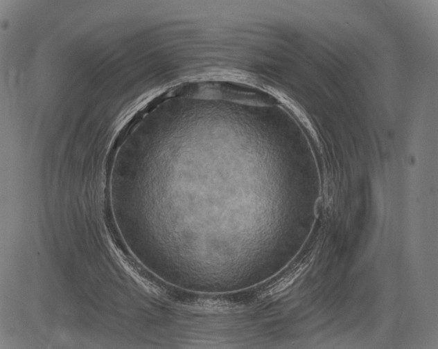 X0000083040437200702161710