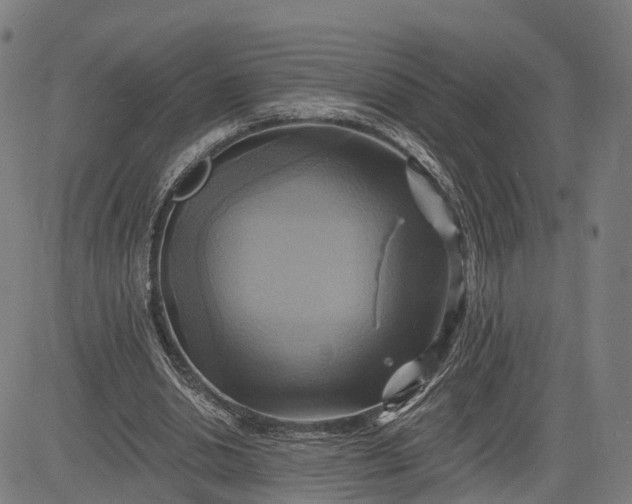 X0000083040438200702161710