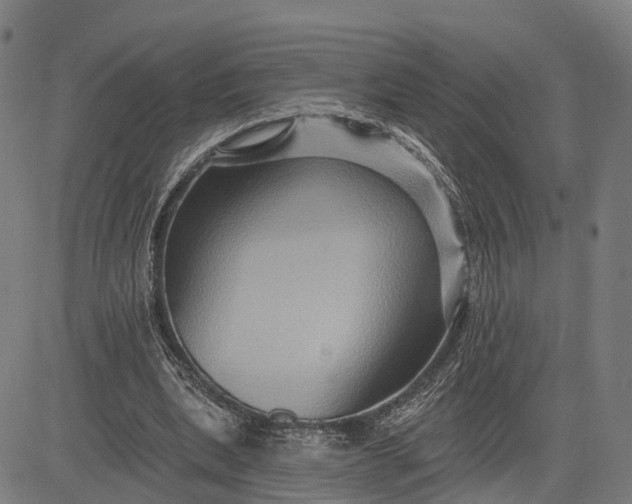 X0000083040439200702161710