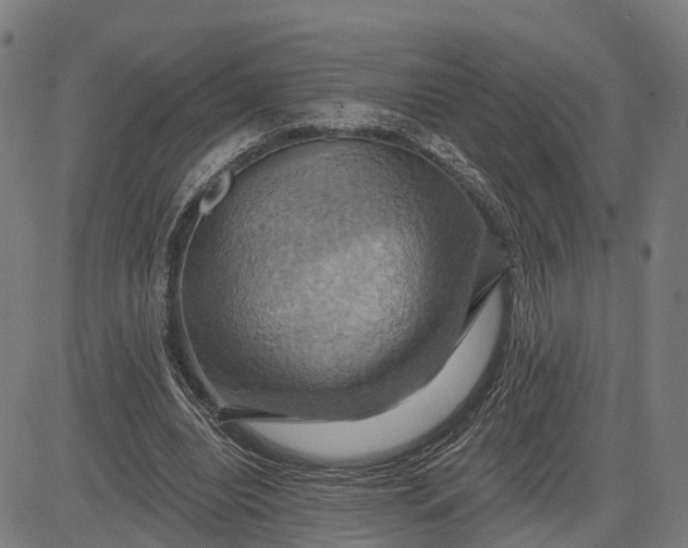 X0000083040440200702161710