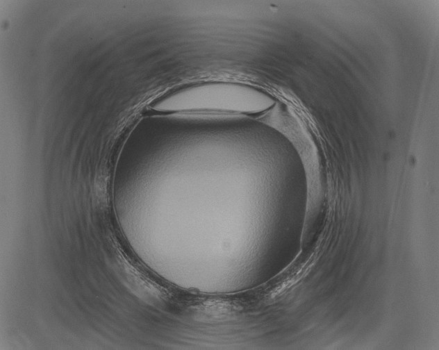 X0000083040441200702161710