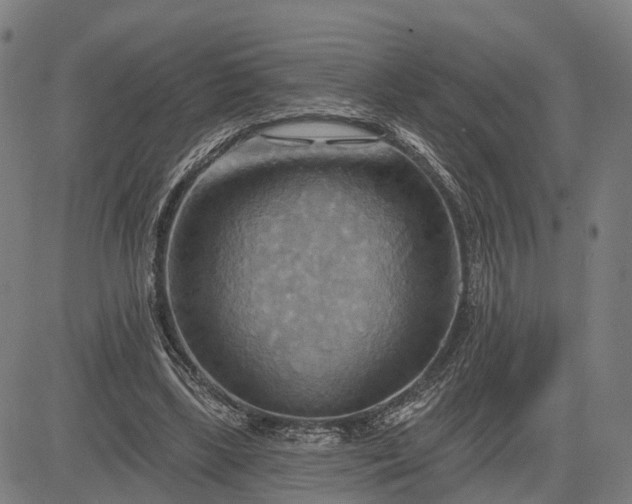 X0000083040443200702161710