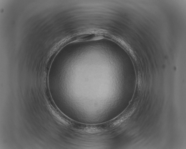 X0000083040445200702161710