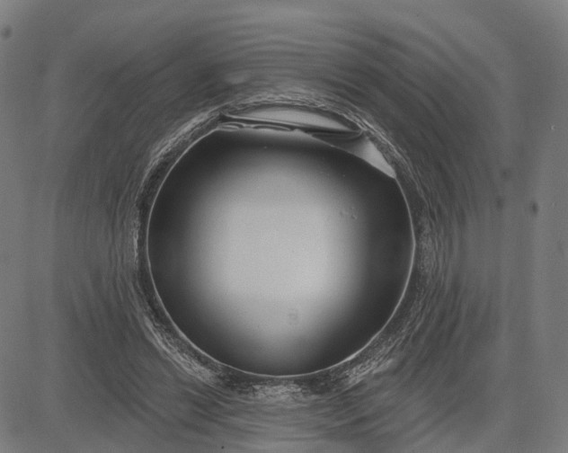 X0000083040446200702161710