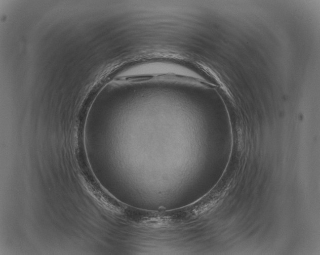 X0000083040447200702161710